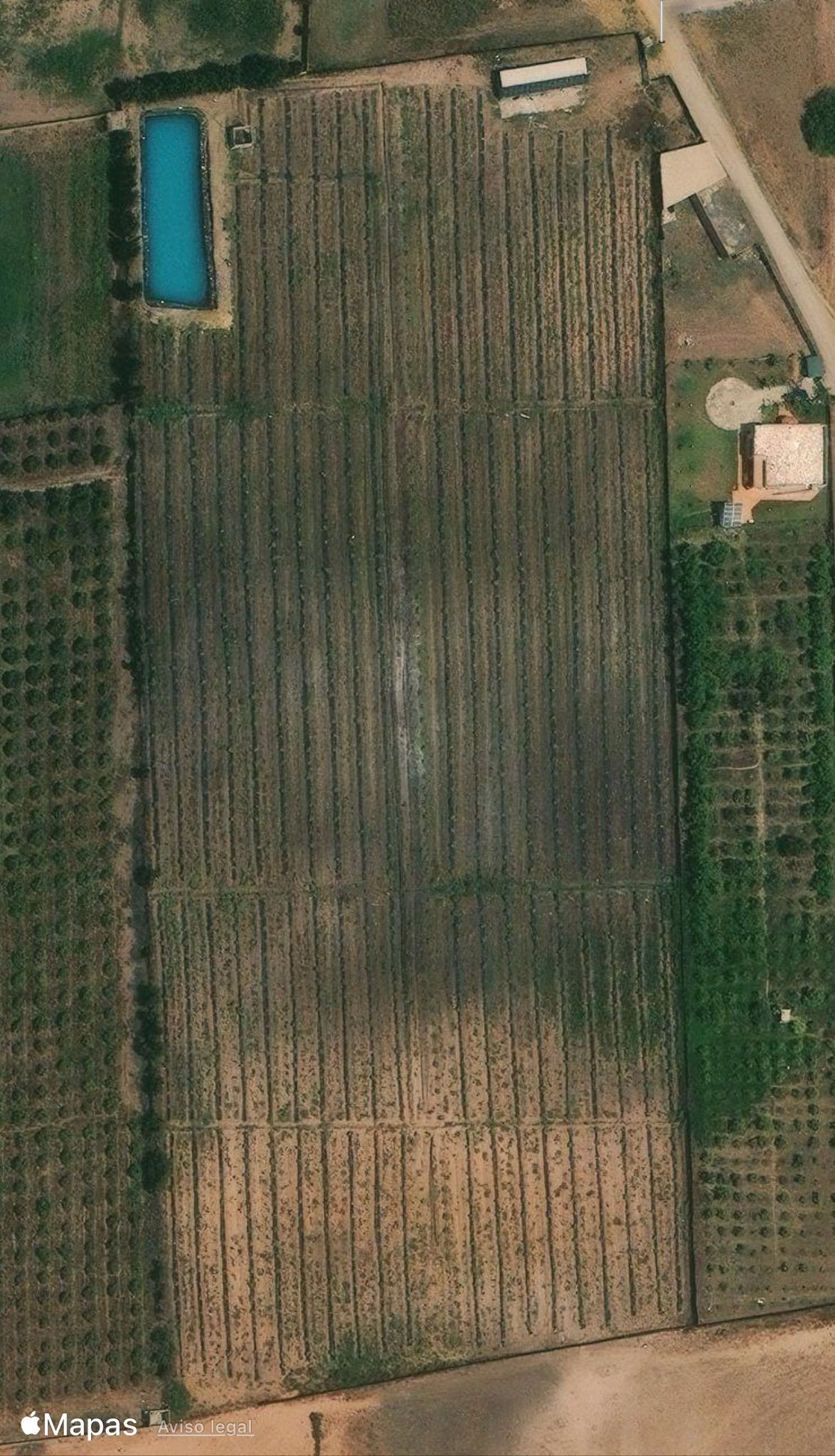 WhatsApp-Image-2026-03-25-at-17.51.11