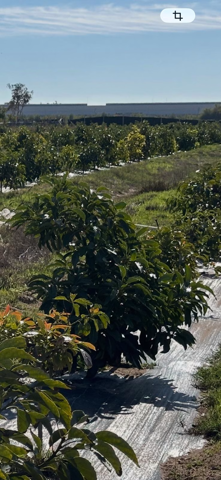 WhatsApp-Image-2026-04-16-at-11.53.31